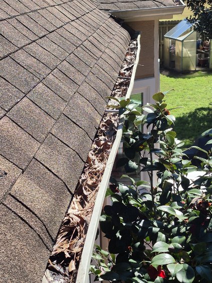 Gutter Cleaning - Bethlehem, GA