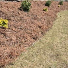 Spring-Refresh-and-Landscape-Makeover 2