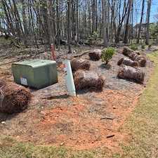 Spring-Refresh-and-Landscape-Makeover 4